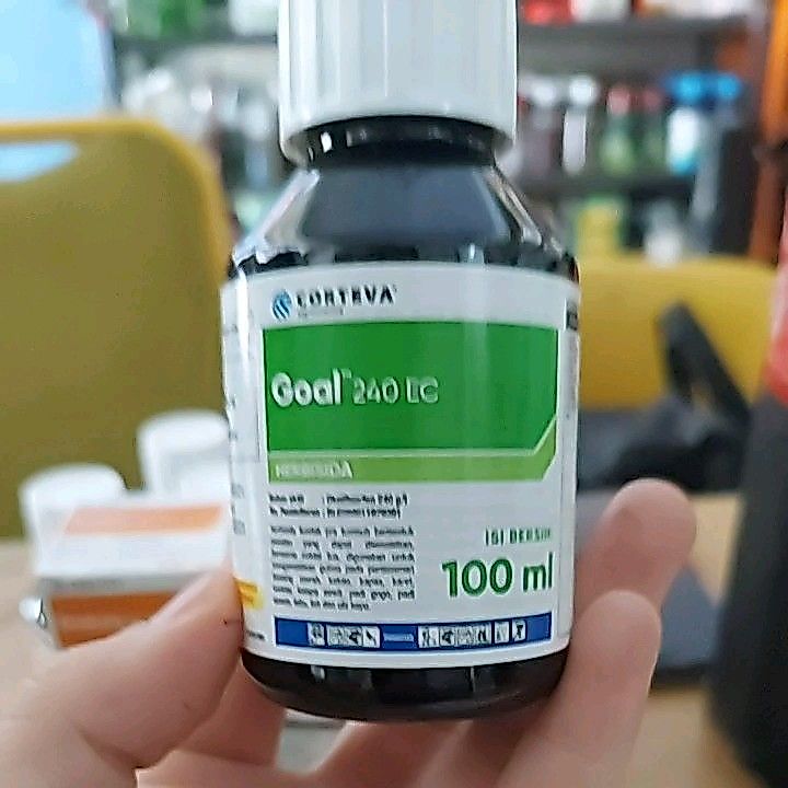 Goal 240 EC - 100 ml