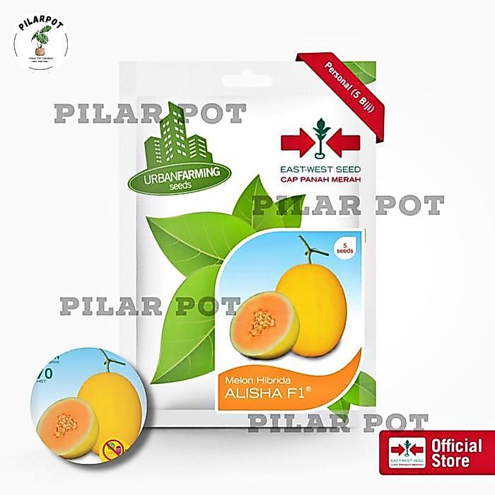 benih bibit melon hibrida alisha f1 cap panah merah - MELON ALISHA F1