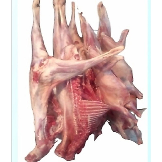 daging paha depan kambing