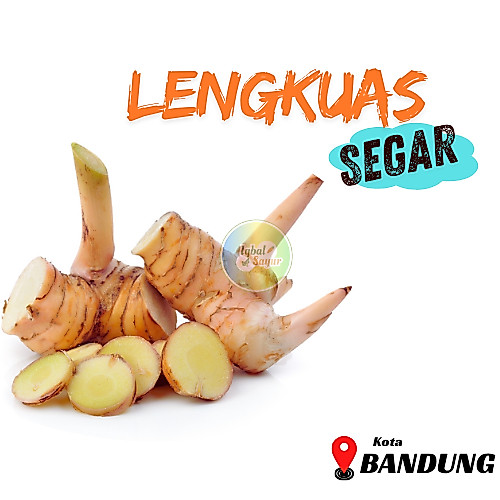 Lengkuas / Laja Segar Bandung