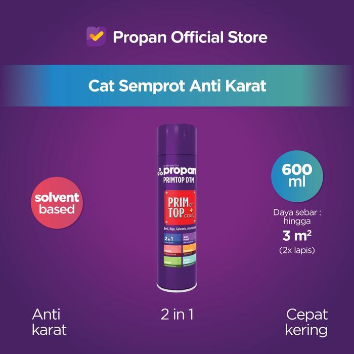 CAT BESI AEROSOL ANTI KARAT - SILVER