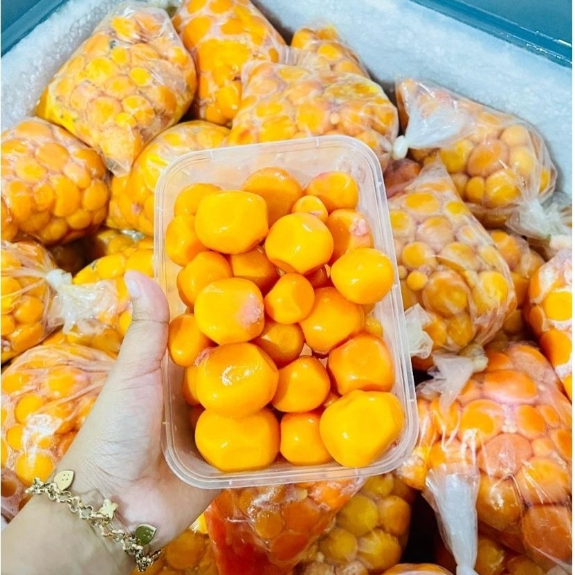 URITAN TELUR MUDA