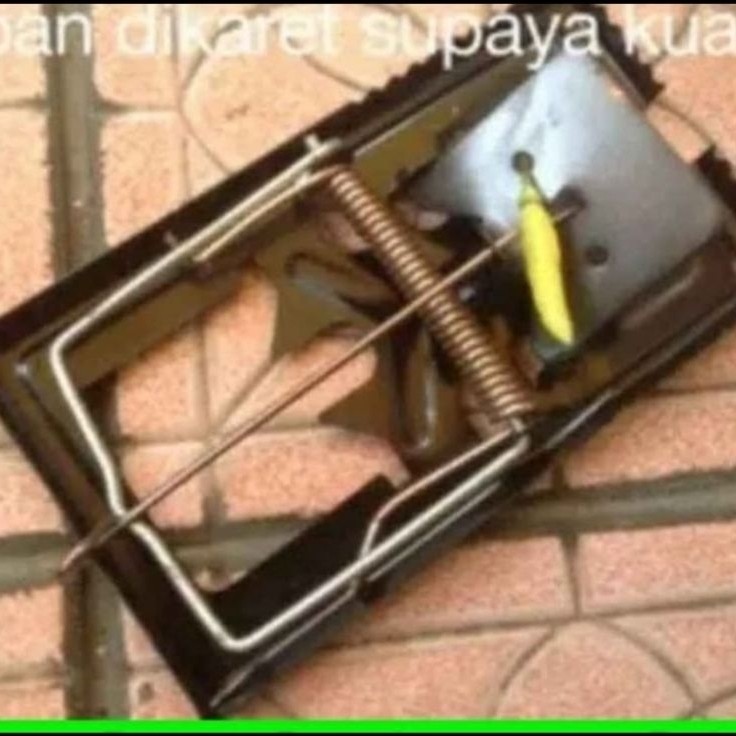 Jebakan Tikus sistem jepretan Besi jebakan tikus besi