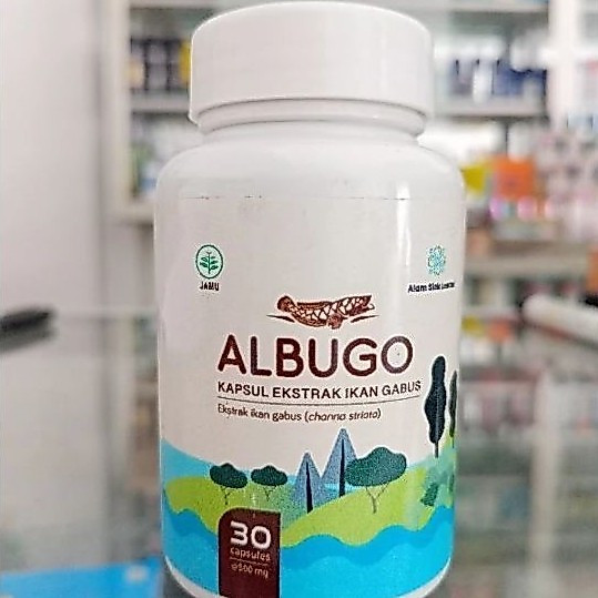 Albugo 30 Kapsul pil Ikan Gabus