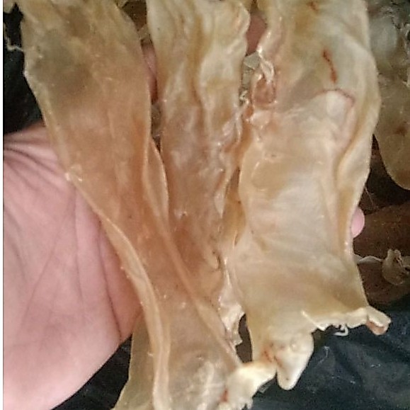 gelembung ikan/perut ikan kakap putih 500.000/250g
