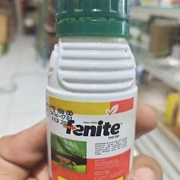 insektisida fenite 250ml 1dus isi 40pcs