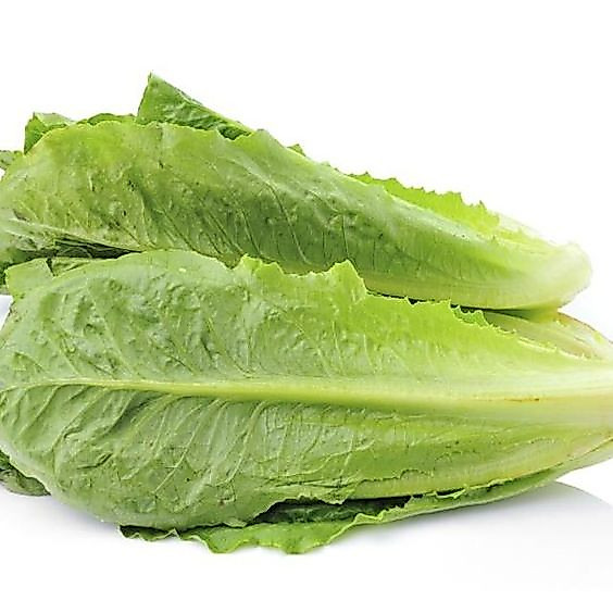 Romaine Lettuce 1Kg