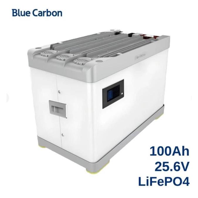 Aki Battery Lithium Lifepo4 BlueCarbon 12V 24V 100Ah 150Ah 200Ah Bergaransi Best Performance - Bluec