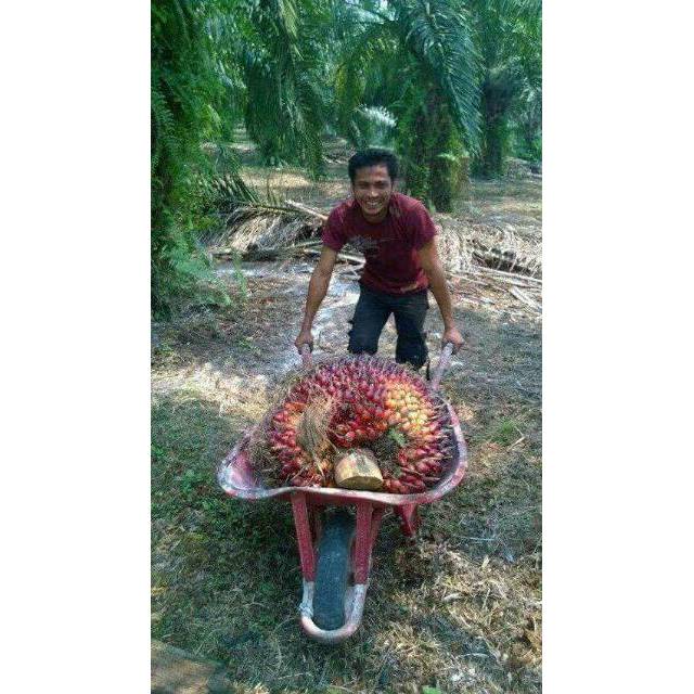 TerbaruDxn Plant Activator Pupuk Tanaman 75% Zat AktifPROMO