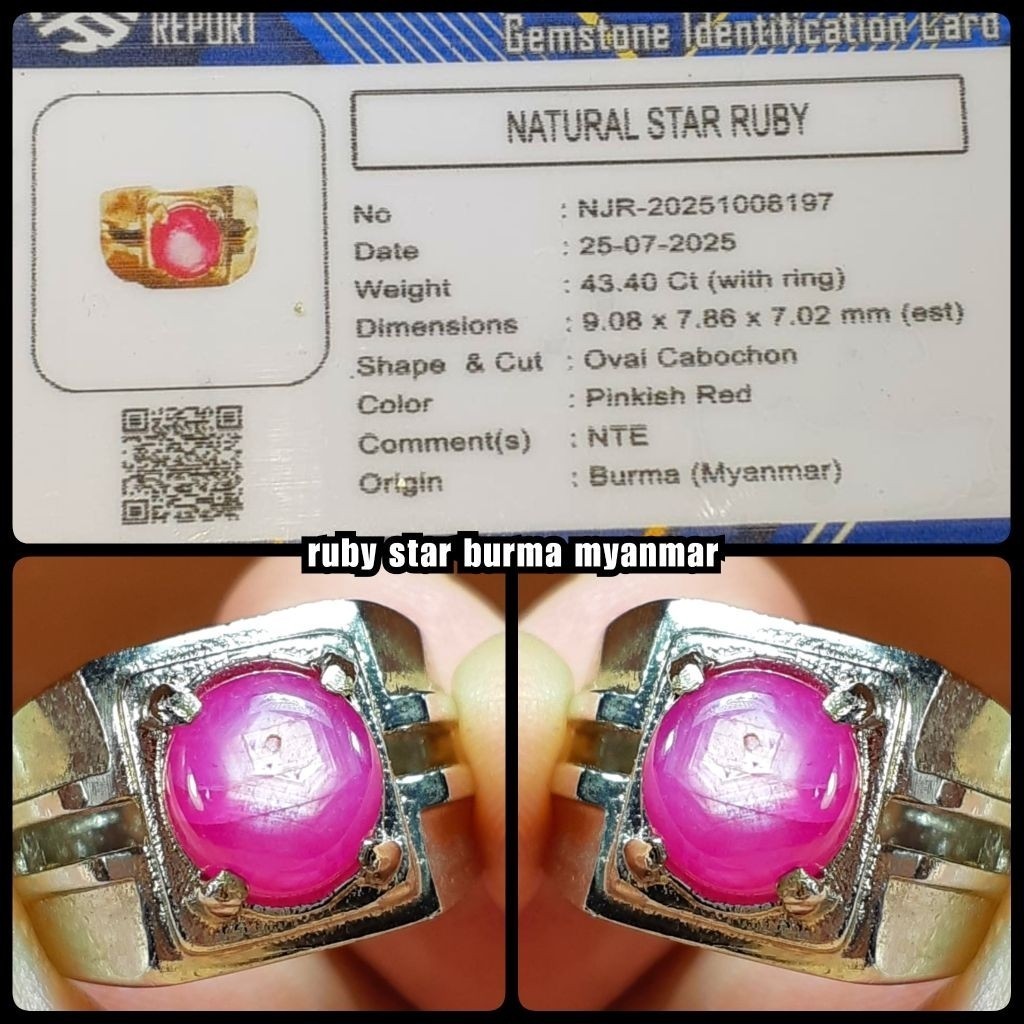 Natural Batu Ruby Star Patkwa Burma Asli Delima