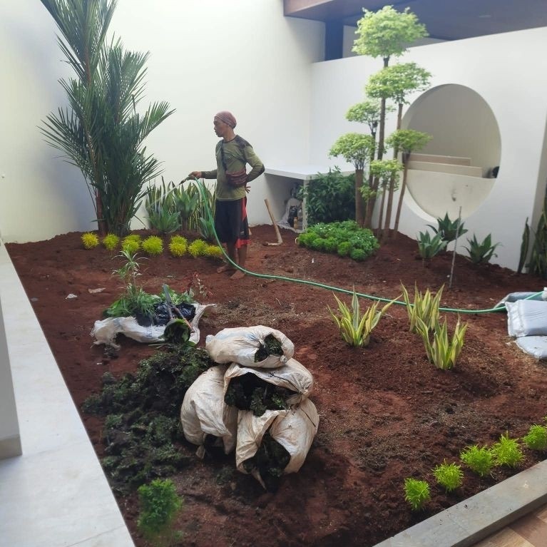 Taman depan rumah / pembuatan dekorasi taman / taman minimalis / taman vertikal garden / taman tropi
