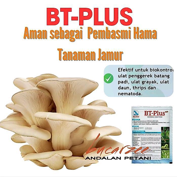 Terlaris Bt Plus - Bio Insektisida - Insektisida Organik - 50 Gram