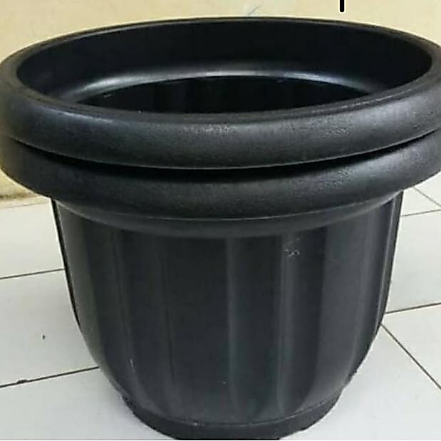 Pot tanaman eboni / pot besar 50 cm