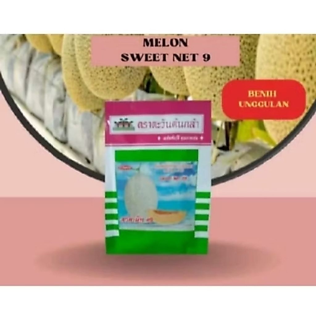 50 Biji Benih Melon Premium Sweet Net 9 F1 Original