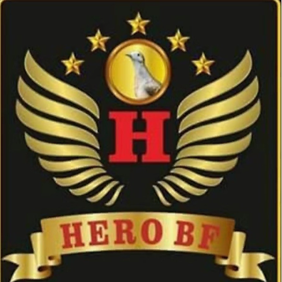 PERKUTUT BANGKOK DEWASA RING HERO HARGA 3 EKOR ADA KITIR SILSILAH BURUNG