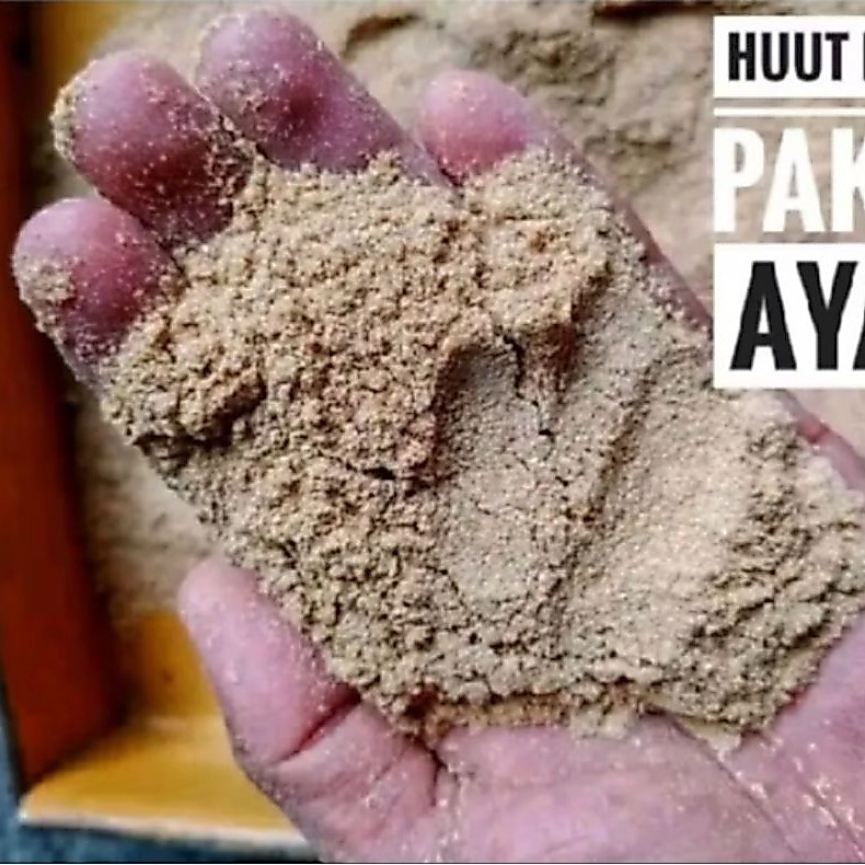 pakan ayam ataw ikan dedek padi 500grm