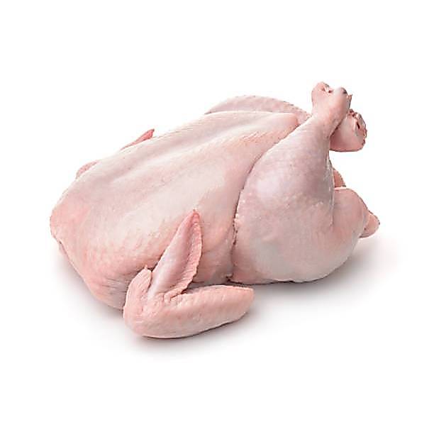 Ayam Karkas / BROILER / Ayam UTUH