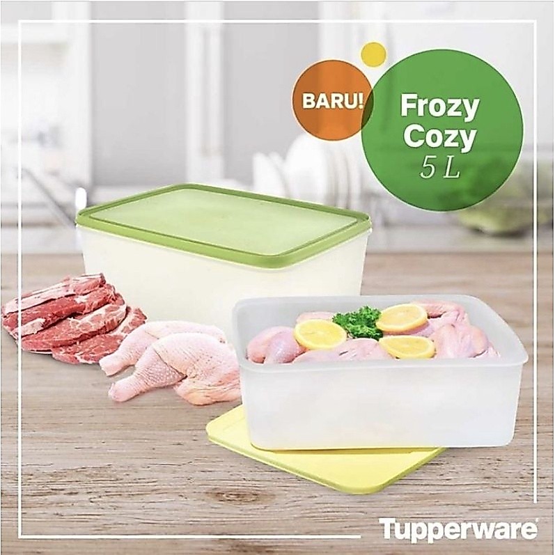 Frozy Cozy 5L Set / Paket Penyimpanan Makanan Kulkas Tupperware Original