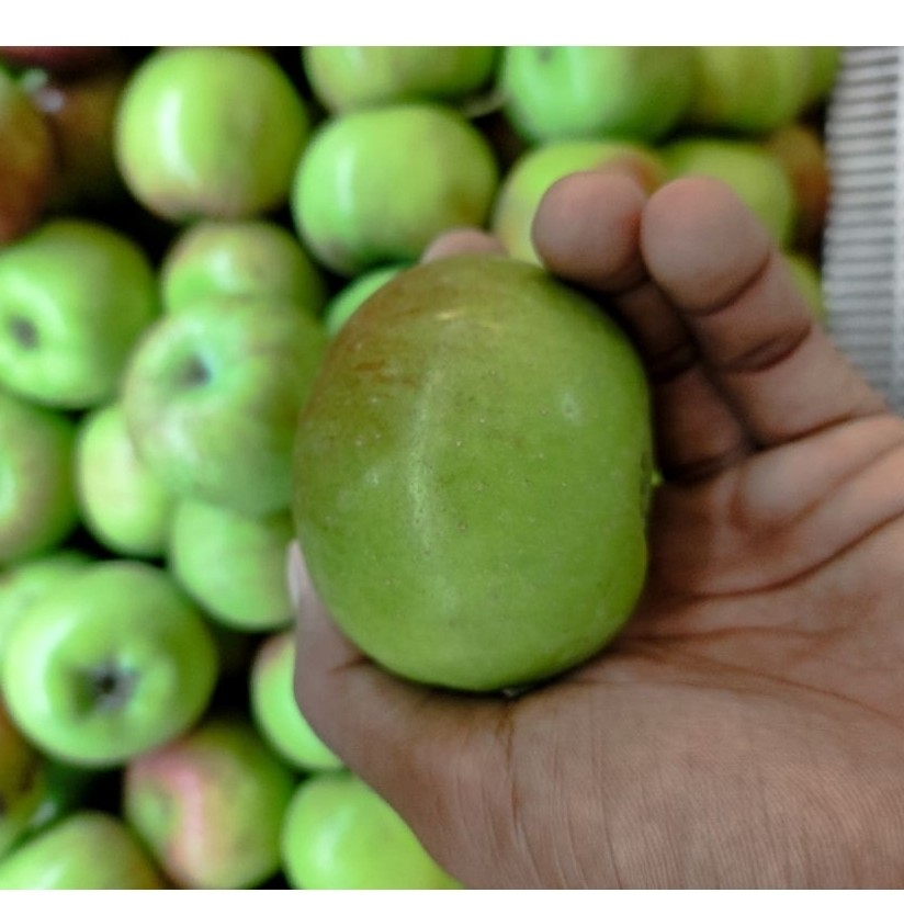 buah apel malang buah apel hijau lokal buah Nusantara 1kg
