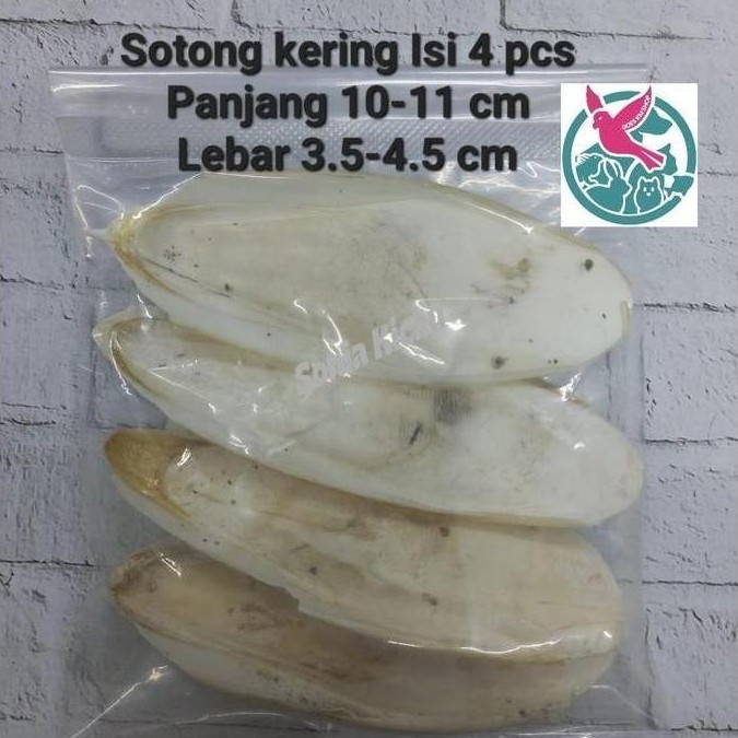 Min.5 Pcs Tulang Sotong Kering Isi 4 Pcs Mengandung Calcium Untuk Burung Dan Hewan Lainnya.
