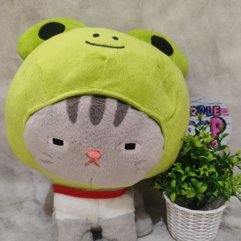 Boneka Kucing Jumbo Amuse