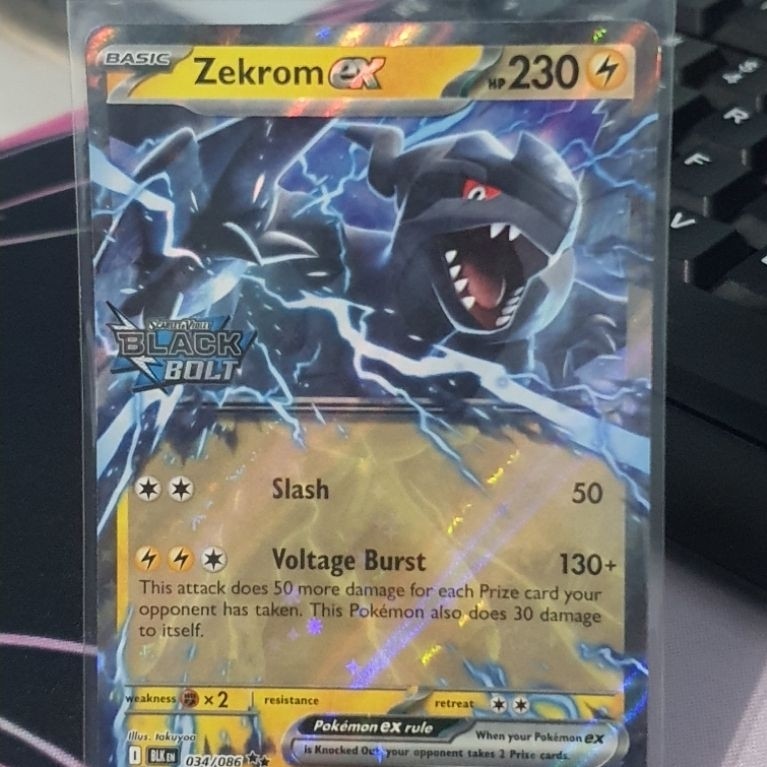 Zekrom EX ( promo black bold ) english (034/086)