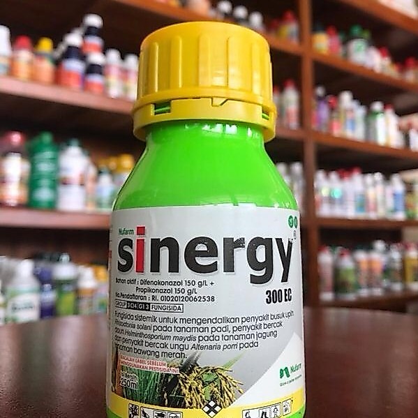 Fungisida Sinergy 300 Ec | Obat Jamur, Blas, Potong Leher