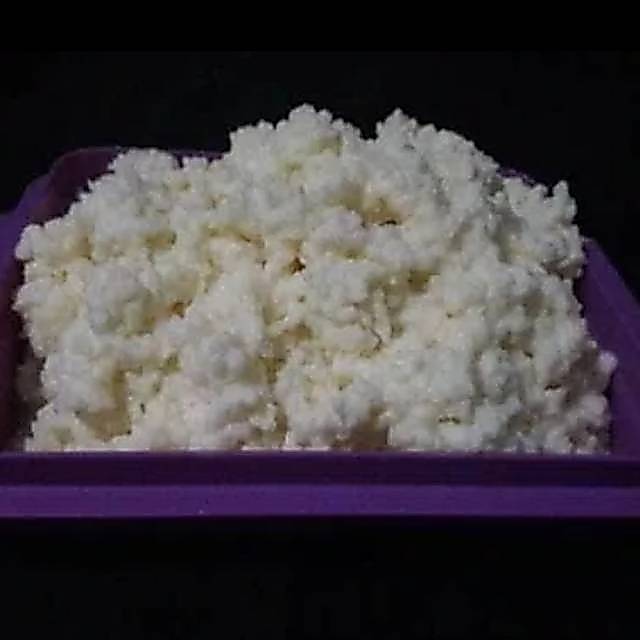 Grain kefir minum