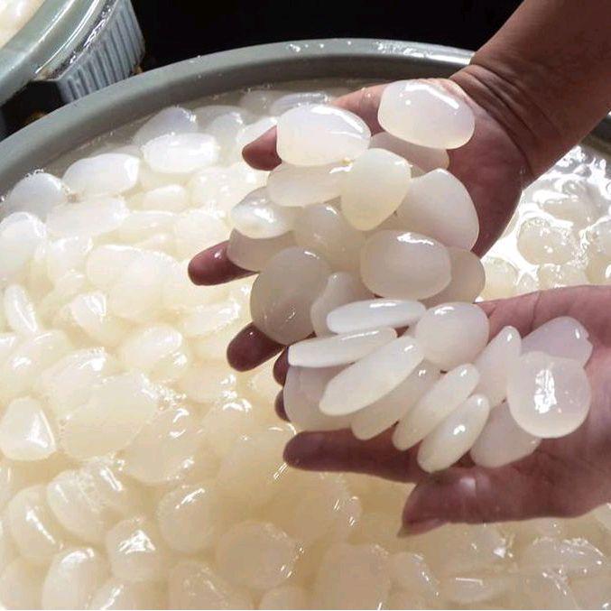 kolang Kaling segar 1 kg kolang Kaling Muda Dan Kenyal