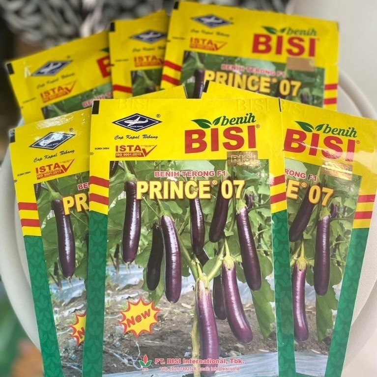 BENIH TERONG PRINCE