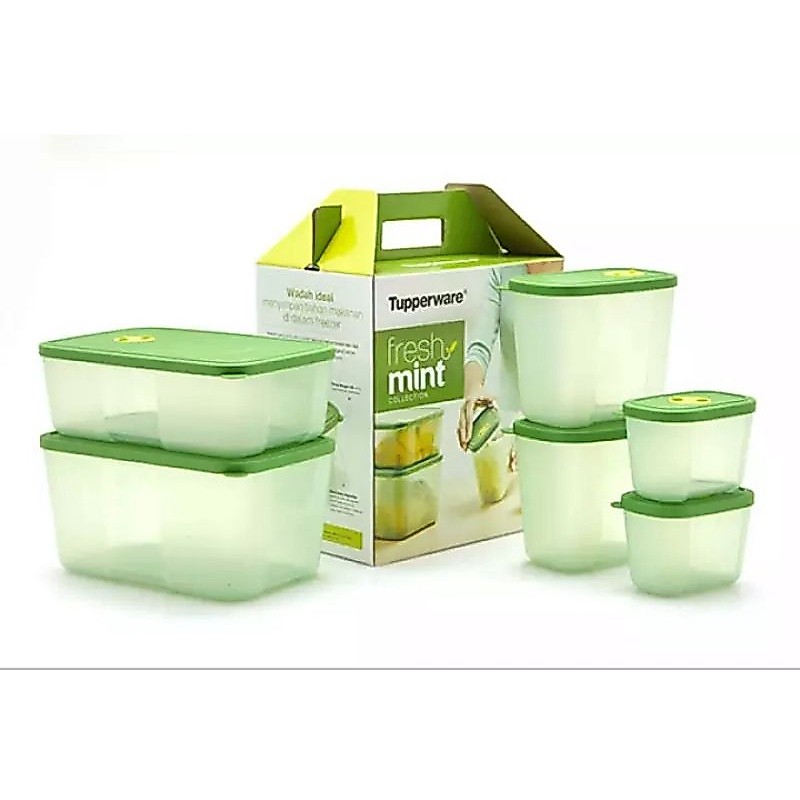 Fresh mint tupperware tempat penyimpanan makanan di kulkas