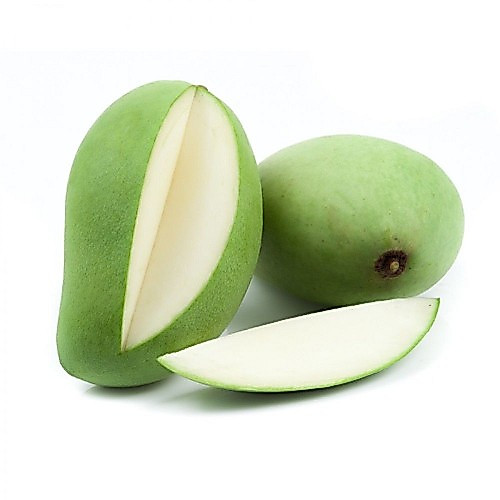 BUAH MANGGA MUDA