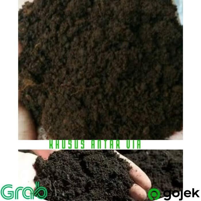 "New" Tanah hitam/tanah Lembang asli