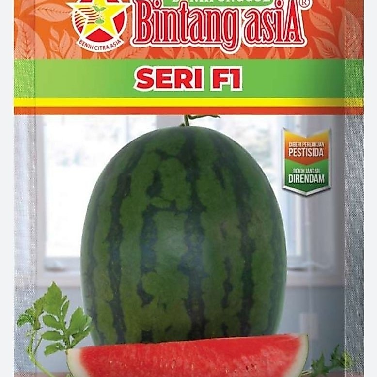 Benih Semangka Oval Non Biji Seri F1 20 gr