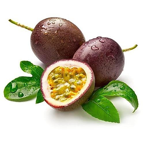 Bibit Benih Biji Buah Markisa Merah Manis - Bibit Tanaman Pohon Markisa Merah - Benih Markisa - COD