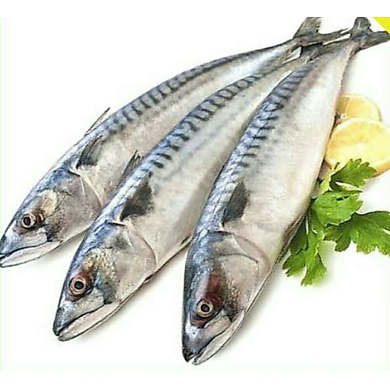 IKAN SARDEN SEGAR - SAYUR SEGAR PALEMBANG