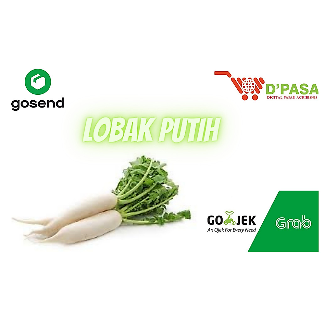 KIRIM INSTAN Lobak Putih 500 gr Sayur Segar Dpasa Padang