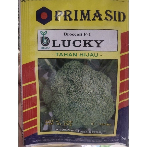 Benih brokoli BEJO LUCKY 1250 butir broccoli hibrida lucky f1 dari primasid brokoli hijau brokoli lu