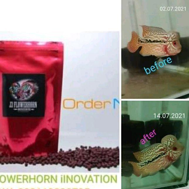 PELET EKSTREM RED J3 Flowerhorn Size S & M Mempercepat Warna Merah & Nafsu Makan Ikan Kandungan Nutr
