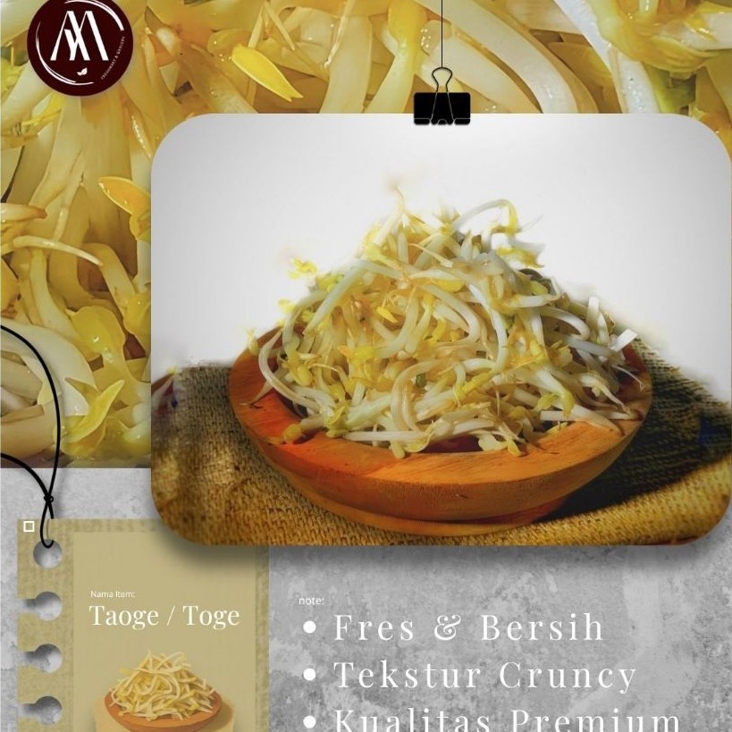 Tauge pendek/ Tauge biasa, fresh bersih 500 gram