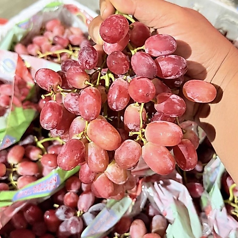 Anggur Crymson - Anggur Non Biji - Anggur Segar - Buah segar