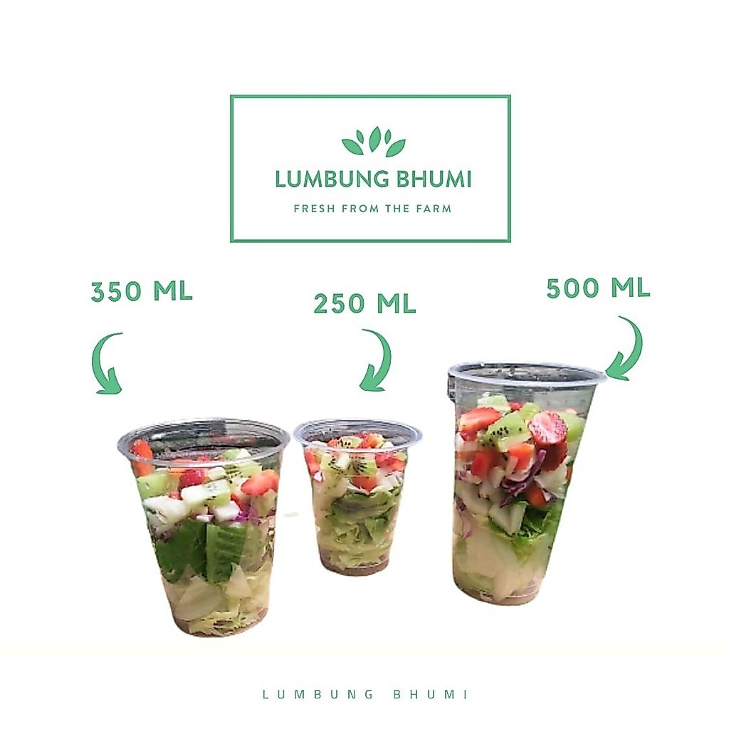 Lumbung Bhumi - Salad Buah Caesar M - 350 ml ( Juice Your Day )