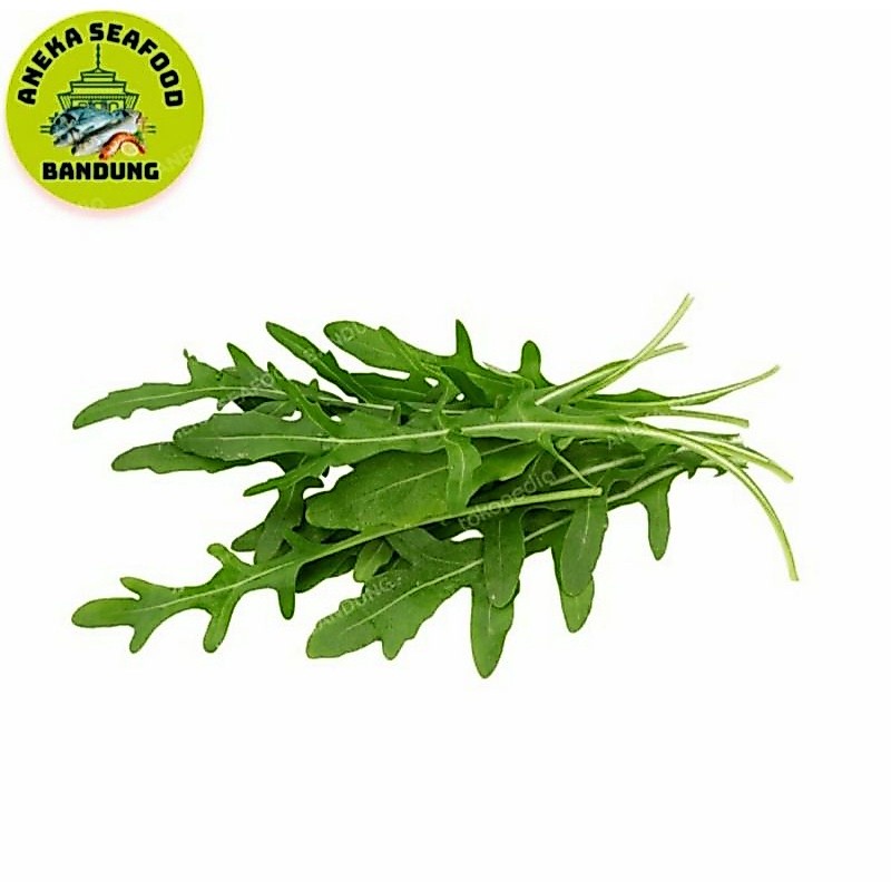 Daun Unik : Aragula, Oregano, Thyme, Taragon, Basil, Rosemary, Kari / 100gr