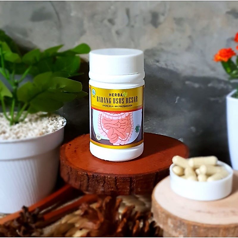 Radang Usus Besar Herbal Radang Obat Radang Usus Besar Original
