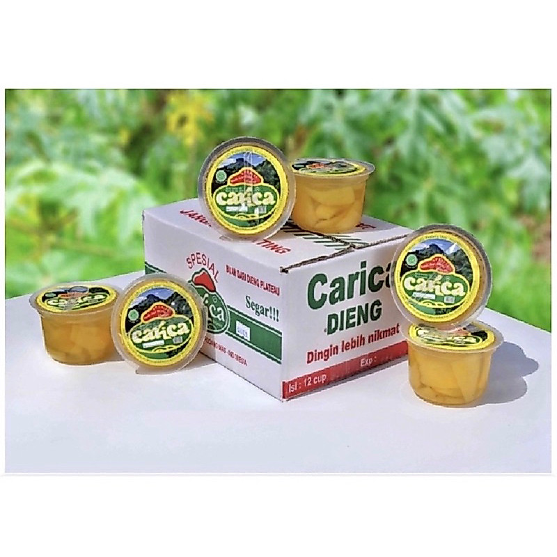 Carica Mangkuk Besar Isi 12 PodangMas
