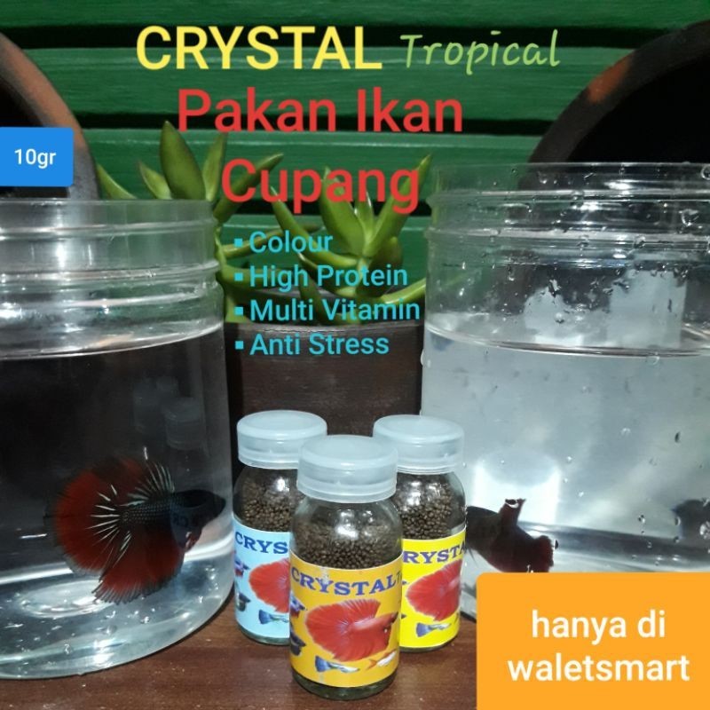 Pelet Crystal Pakan Ikan Cupang Guppy dan Tropical Fish ws rm