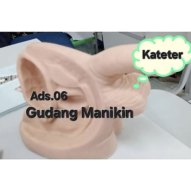 Phanyom Manikin / Kateter Pria / Alat Peraga Pendidikan