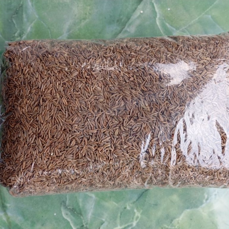 Jintan coklat 1kg - Aroma Kuat, Bumbu Masakan, Biji Kering