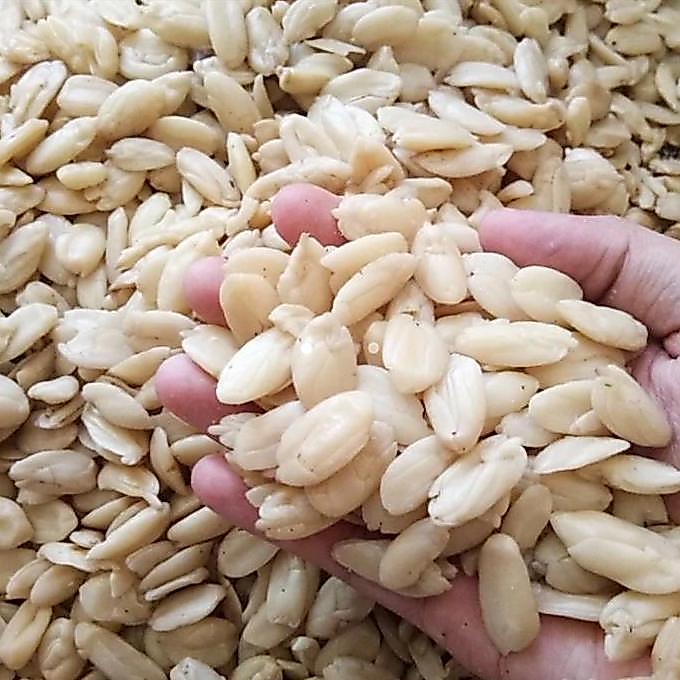 Kenari Kupas/ Kacang Kenari Kupas