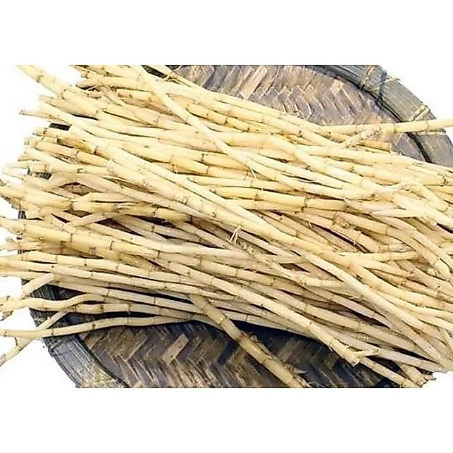 Sayur akar alang-alang, akar alang-alang segar